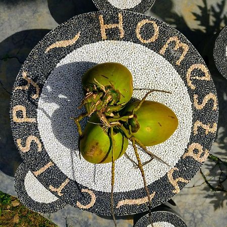 Crispycool Homestay Kuta  외부 사진